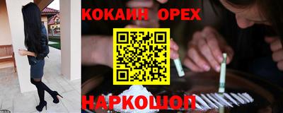 mdpv Гатчина