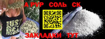 индика Гусев