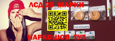 индика Гусев