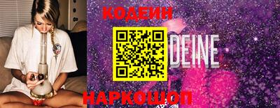 индика Гусев