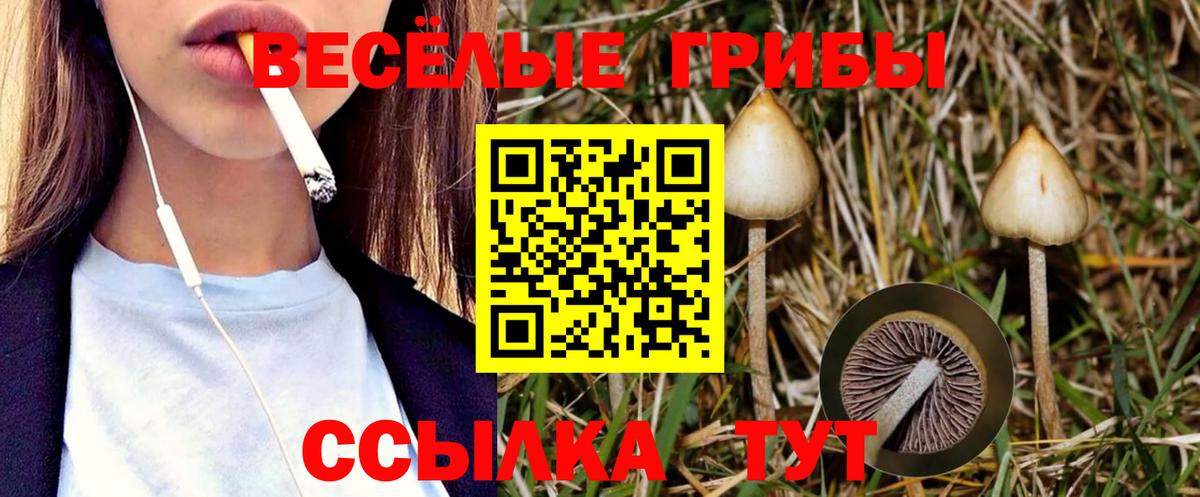 Псилоцибиновые грибы ЛСД Зерноград